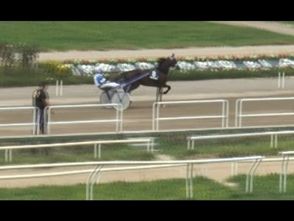 Napoli - Ippodromo Agnano, il "libro bianco" di Gaetano Papalia (21.12.15)