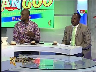 Revue de presse Rts du 06 jan 2016