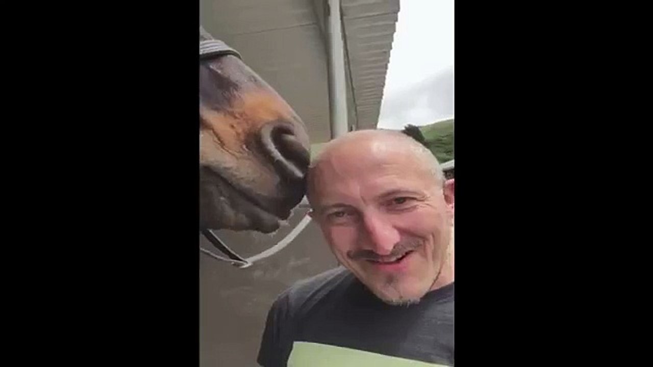 Horse Licks Man's Head