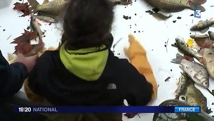 La pêche a commencé au fond du canal Saint-Martin