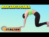 Marjariasana | Yoga per principianti | Yoga During Pregnancy & Tips | About Yoga in Italian
