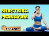 Bhastrika Pranayama | Yoga per principianti | Yoga For Better Sex & Tips | About Yoga in Italian