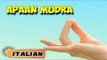Apaan Mudra | Yoga per principianti | Hand Gesture Technique of Yoga | About Yoga in Italian