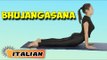 Bhujangasana | Yoga per principianti | Yoga For Cervical Spondylosis & Tips | About Yoga in Italian