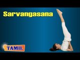 Sarvangasana For Kids Growth and Height - Treatment, Tips & Cure in Tamil