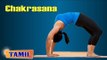 Chakrasana For Stress Relief - Reduces Stress - Treatment, Tips & Cure in Tamil