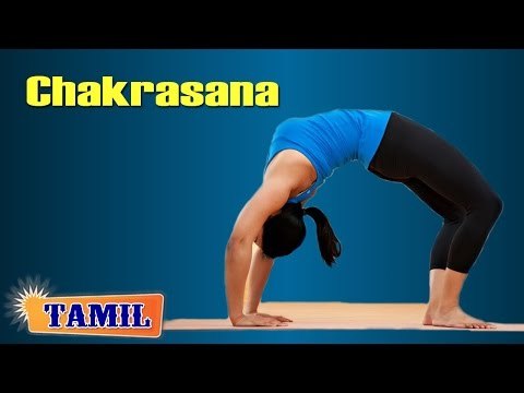 Chakrasana For Stress Relief - Reduces Stress - Treatment, Tips & Cure in Tamil