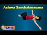 Ashwa Sanchalanasana For Heart - Stretching Exercise - Treatment, Tips & Cure in Tamil