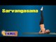 Sarvangasana For Slimming - Exercise for Body Fitness - Treatment, Tips & Cure in Tamil