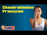 Chandrabhedan Pranayam For Insomnia - Exercise for Better Sleep - Treatment, Tips & Cure in Tamil