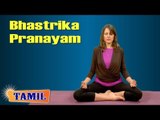Bhastrika Pranayam For Insomnia - Bellows Breath Exercise - Treatment, Tips & Cure in Tamil