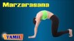 Marzarasana During Pregnancy - Exercise For Spine Flexibility - Treatment, Tips & Cure in Tamil