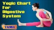 Yogic Chart For Digestive System - Yoga Pose, Treatment, Diet Tips & Cure in Tamil