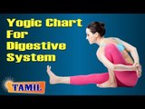 Yogic Chart For Digestive System - Yoga Pose, Treatment, Diet Tips & Cure in Tamil