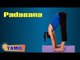 Padasana During Pregnancy - Treatment, Tips & Cure in Tamil