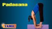 Padasana During Pregnancy - Treatment, Tips & Cure in Tamil