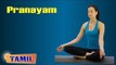 Pranayam For Stress Relief - Breathing Technique - Treatment, Tips & Cure in Tamil