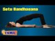 Setu Bandhasana For Back - Exercise For Back Pain - Treatment, Tips & Cure in Tamil