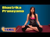 Bhastrika Pranayama For Blood Pressure - Reduce Blood Pressure - Treatment, Tips & Cure in Tamil
