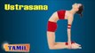 Ustrasana For Beginners - Exercise For Back Stretches - Treatment, Tips & Cure in Tamil