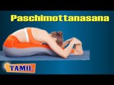 Paschimottanasana For Blood Pressure - Control Hypertension - Treatment, Tips & Cure in Tamil