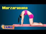 Marzarasana For Back - Exercise For Spine Flexibility - Treatment, Tips & Cure in Tamil