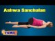 Ashwa Sanchalan For Beginners - Basic Movements - Treatment, Tips & Cure in Tamil