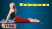 Bhujangasana For Blood Pressure - Reduce Back Pain - Treatment, Tips & Cure in Tamil