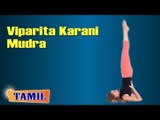 Viparita Karani Mudra Yoga For Sex - Treatment, Tips & Cure in Tamil