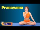 Pranayama For Sex - Build Sexual Drive - Treatment, Tips & Cure in Tamil