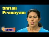 Shitali Pranayam Yoga - Cooling Breathing Exercise for Reduce Stress and Blood Pressure