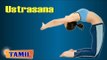 Ustrasana For Eyes - Exercise For Eye Vision -  Treatment, Tips & Cure in Tamil