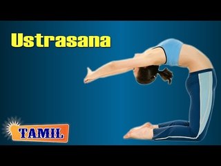 Ustrasana For Eyes - Exercise For Eye Vision -  Treatment, Tips & Cure in Tamil