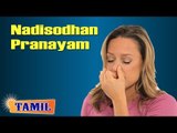 Nadisodhan Pranayam Yoga - Alternate Nostril Breathing Exercise for Good Health