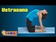 Ustrasana For Arthritis | Exercise For Back And Arthritis Pain | Treatment, Tips & Cure in Tamil