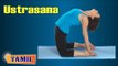 Ustrasana For Arthritis | Exercise For Back And Arthritis Pain | Treatment, Tips & Cure in Tamil