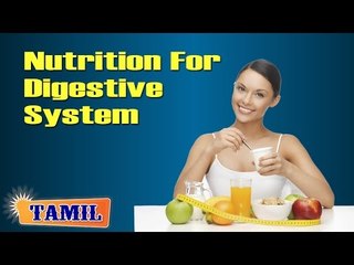 Nutritional Management For Digestive System - Treatment, Diet Tips & Cure in Tamil