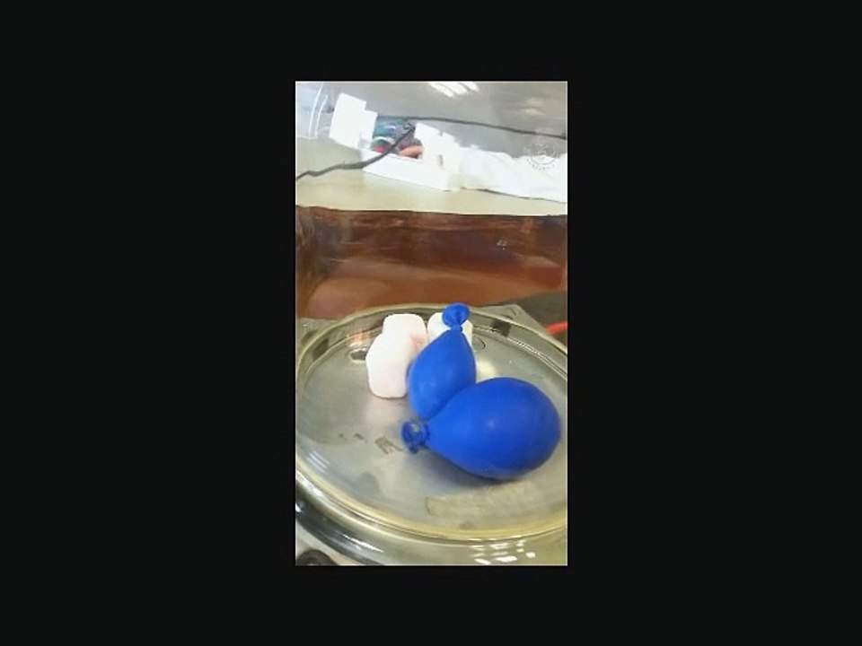 Funny experiments 4