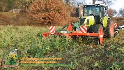 Démonstration de strip-till sur couverts végétaux - Chambre agriulture Tarn 21/12/15-