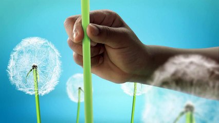 La Garde du Roi Lion : Un Nouveau Cri - Mercredi 27 janvier à 18h30 !