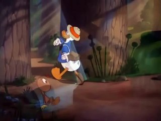 Donald duck cartoons episodes 26