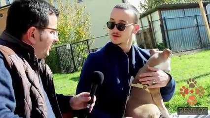 Fisi Faunes - Season 3, Episode 20