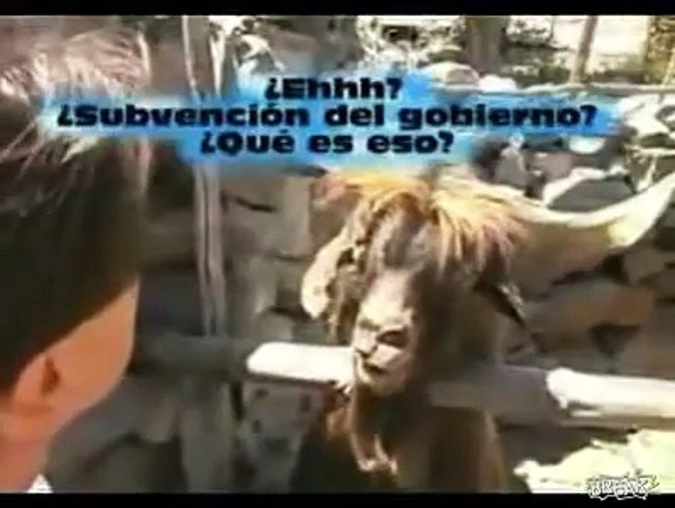 Funny spitting animal
