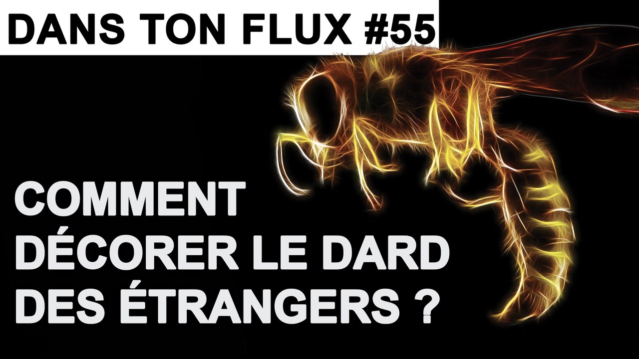 Comment décorer le dard des étrangers ? #DansTonFlux 55