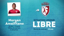 Officiel : Morgan Amalfitano signe au LOSC !