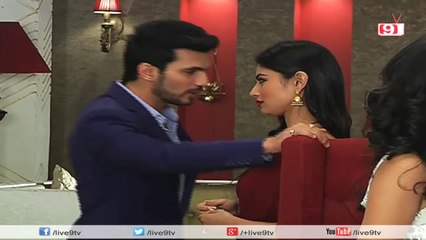 Ritik Flirting With Shivanya _ Naagin _ 6th January 2015