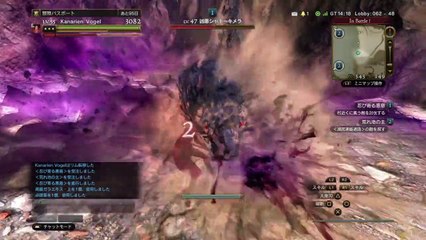 ドラゴンズドグマ オンライン　シャドーキメラ、荒れ地の主ウォーリアーソロ