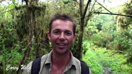 Worlds Largest Tortoise! Corey Wild - Ep. 25 : AnimalBytesTV