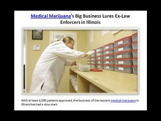 Medical Marijuana’s Big Business Lures Ex-Law Enforcers in Illinois