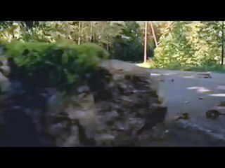 Funny Animal TV Ads Bridgestone Beaver